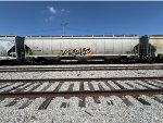 TILX 540381